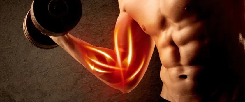 Ile białka dziennie przy treningu? Sprawdź, ile potrzebujesz naprawdę